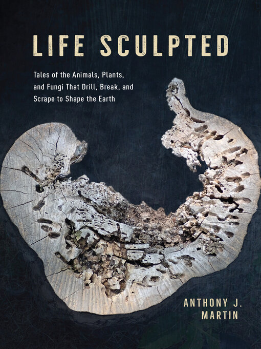 Title details for Life Sculpted by Anthony J. Martin - Available